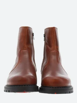 Anfibio - Tom in Caramel