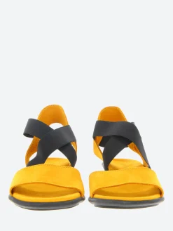 Arche - Sanoa Satia in Kari Jaune