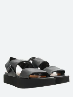 Coclico - Imna in Black