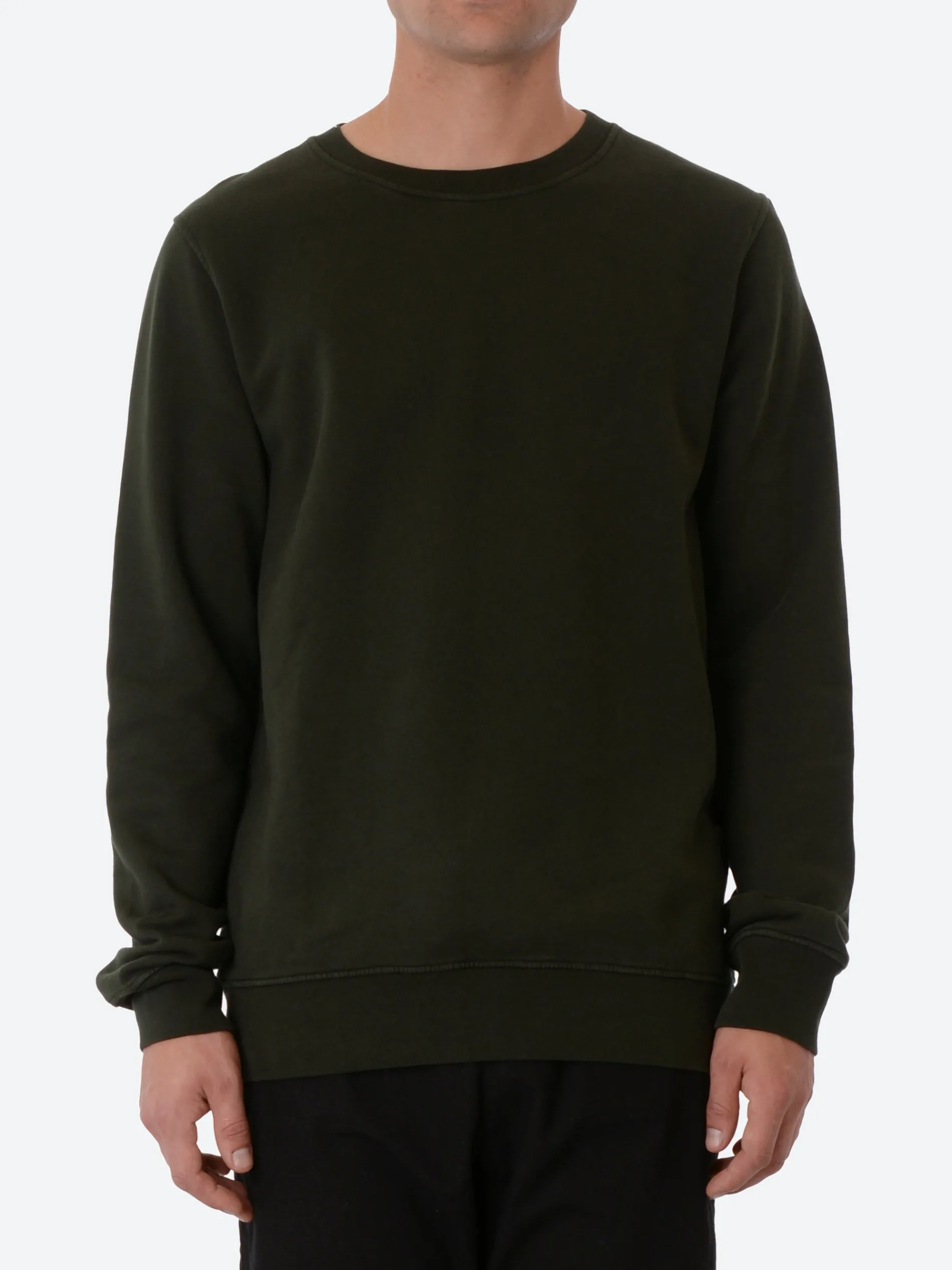 Colorful Standard - Classic Organic Crew in Hunter Green