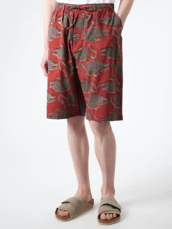 Kardo - Milo Shorts in Chocolate