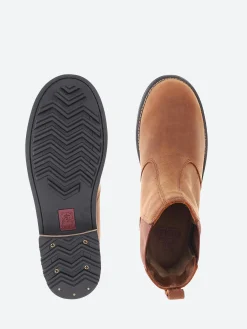 Kodiak - Alma in Barley Muddy River