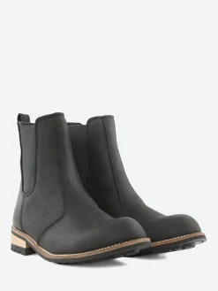 Kodiak - Alma in Black