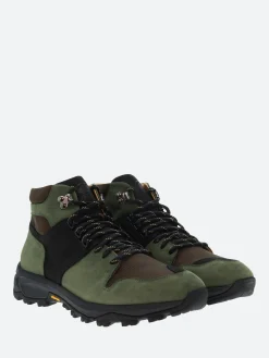 Sesa - Anchorage in Olive