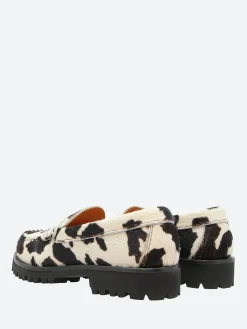 Sesa - Queens in Milk Cow