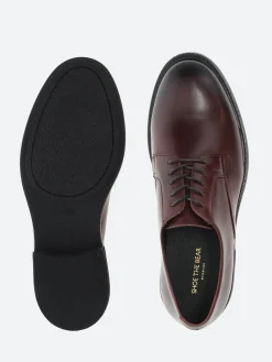 Shoe the Bear - Stanley Derby in Chestnut