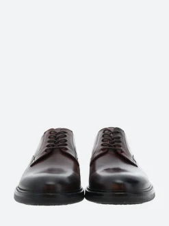 Shoe the Bear - Stanley Derby in Chestnut