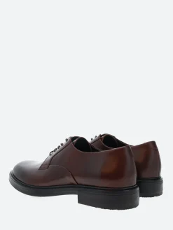 Shoe the Bear - Stanley Derby in Chestnut