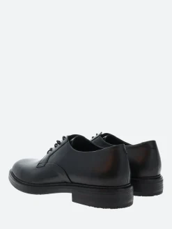 Shoe the Bear - Stanley Derby in Black