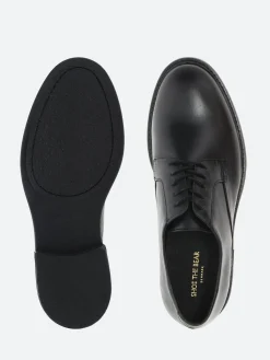 Shoe the Bear - Stanley Derby in Black