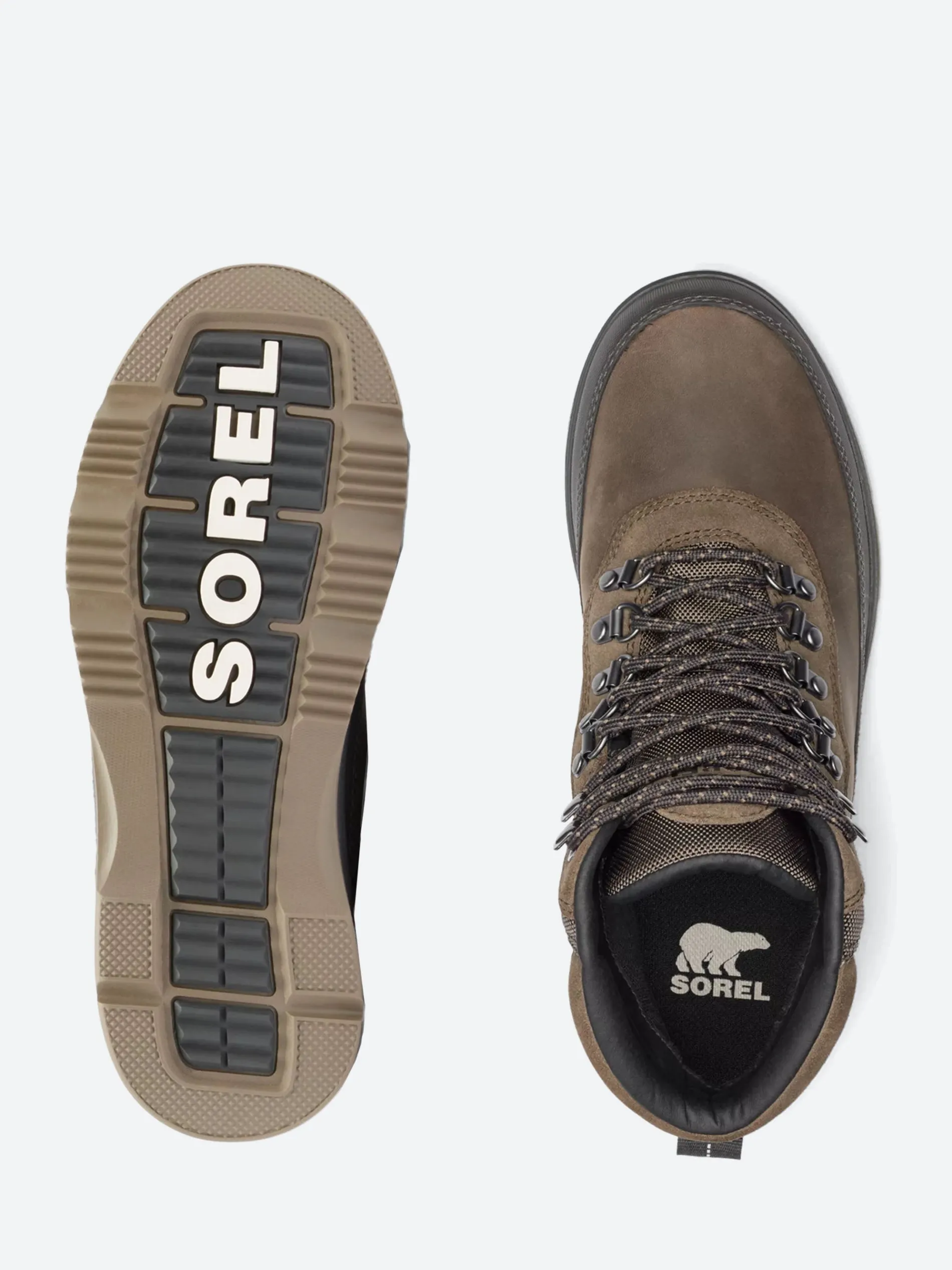 SOREL - Ankeny II Hiker Plus in Major and Sand