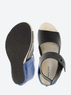 Trippen - Wood Stand in Black and Cobalt