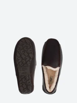 UGG - Ascot in China Tea