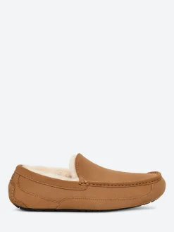 Ugg - Ascot Slipper in Chestnut