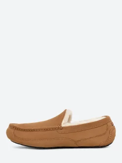 Ugg - Ascot Slipper in Chestnut