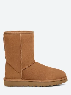 Ugg - Classic Short II in Chestnut