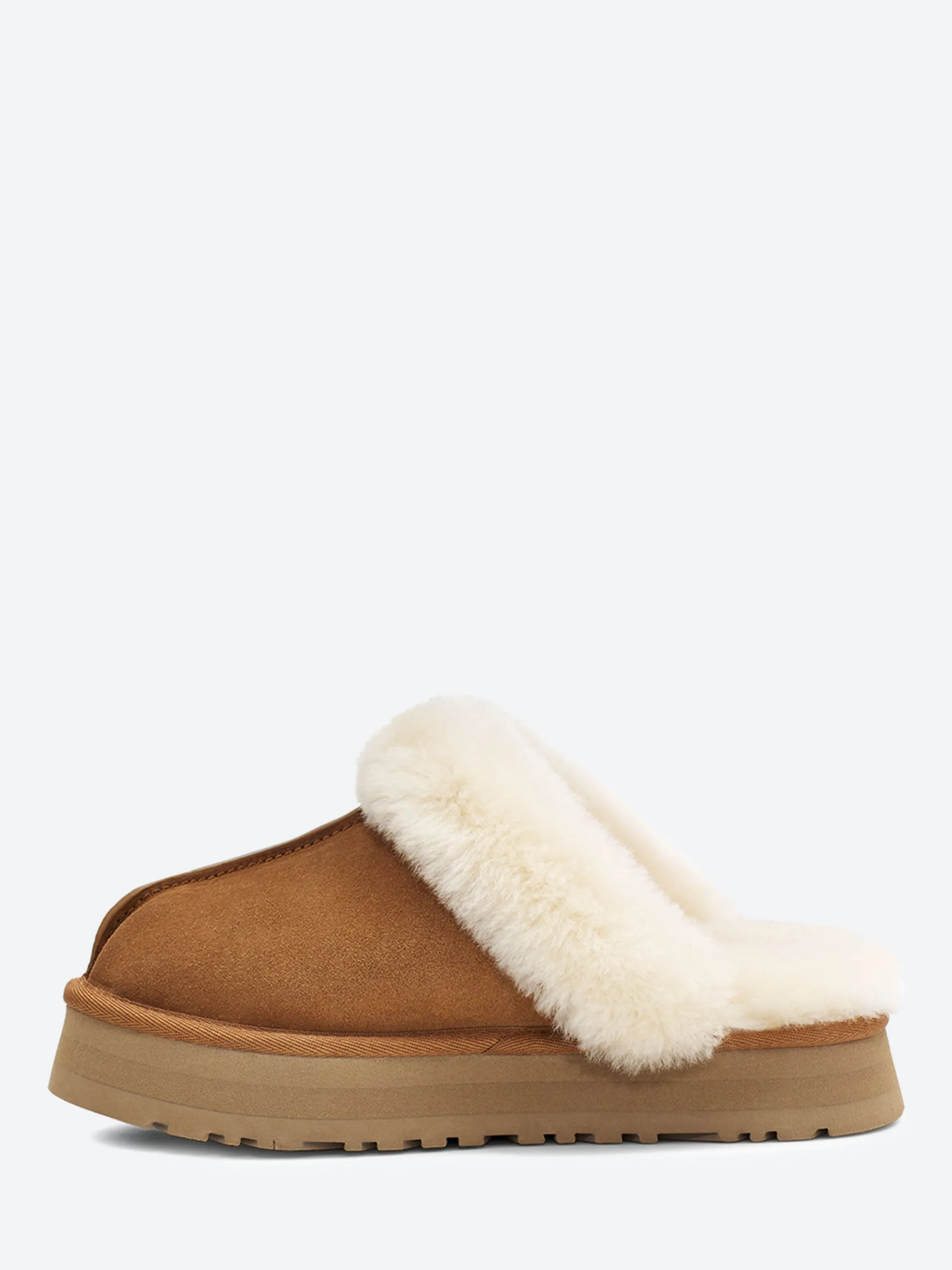 Ugg - Disquette in Chestnut