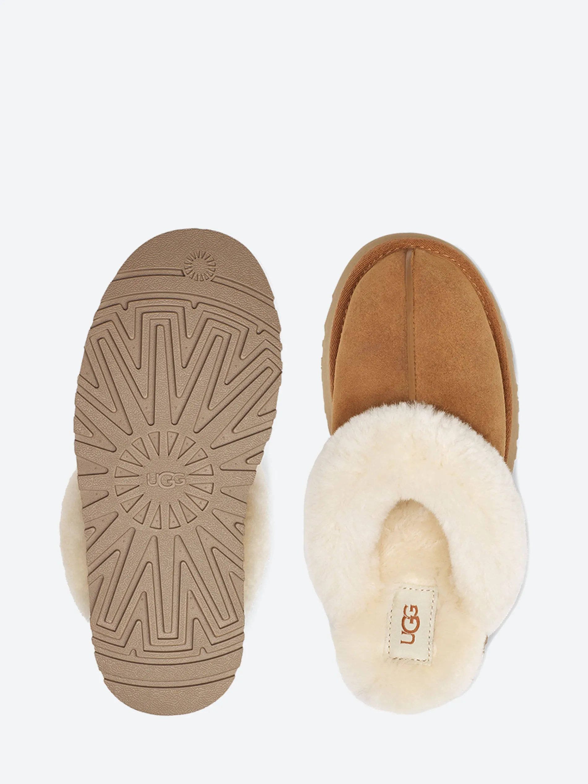 Ugg - Disquette in Chestnut