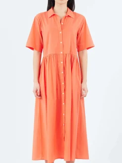 Xirena - Dayton Dress in Sugar Poppy